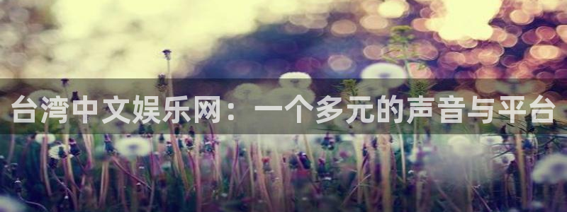 泰达娱乐体育凯捷平台主管：台湾中文娱乐网：一个多元的声音与平台