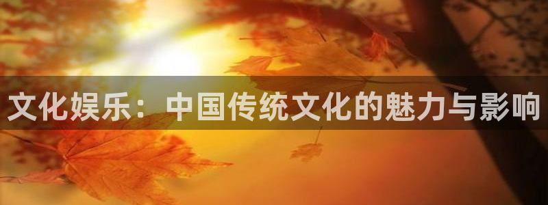泰达娱乐平台官方入口下载：文化娱乐：中国传统文化的魅力与影响