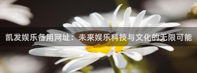 泰达娱乐vk：凯发娱乐备用网址：未来娱乐科技与文化的无限可能