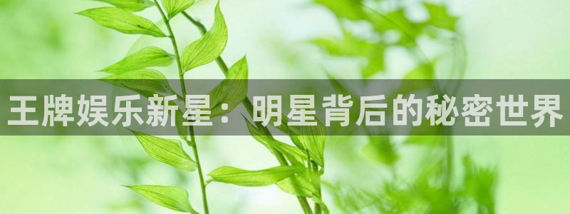 泰达娱乐2体育：王牌娱乐新星：明星背后的秘密世界