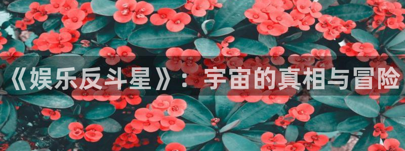泰达娱乐注册链接：《娱乐反斗星》：宇宙的真相与冒险