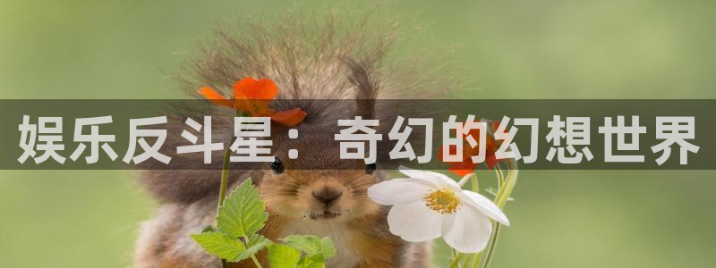 泰达娱乐2平台注册：娱乐反斗星：奇幻的幻想世界