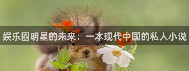泰达娱乐凯捷注册：娱乐圈明星的未来：一本现代中国的私人小说