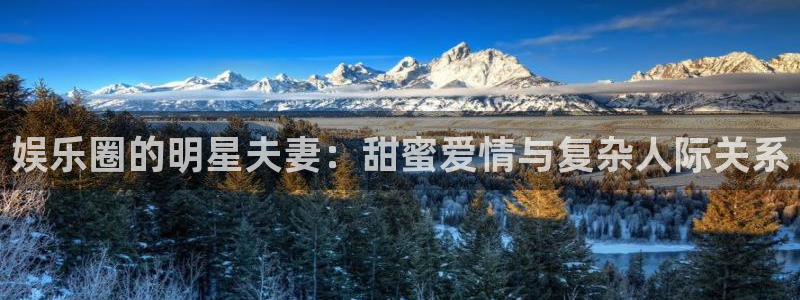 泰达娱乐体育凯捷平台代理：娱乐圈的明星夫妻：甜蜜爱情与复杂人际关系