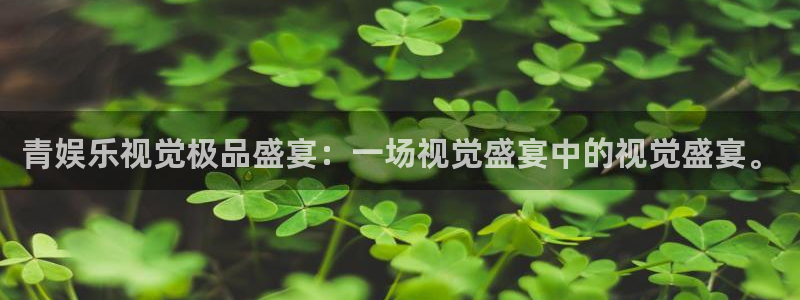 泰达娱乐账号注册入口：青娱乐视觉极品盛宴：一场视觉盛宴中的视觉盛宴。