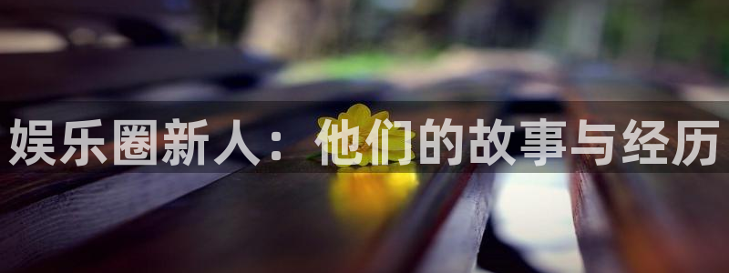泰达娱乐2体育：娱乐圈新人：他们的故事与经历