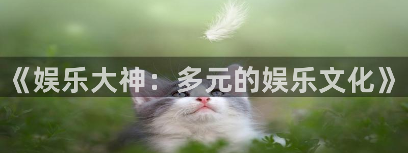 泰达娱乐麻将胡了：《娱乐大神：多元的娱乐文化》