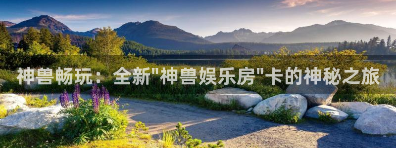 泰达娱乐游戏：神兽畅玩：全新\