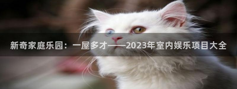 泰达娱乐pg：新奇家庭乐园：一屋多才——2023年室内娱乐项目大全