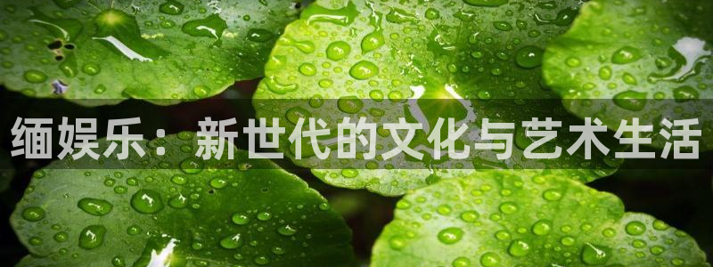 泰达娱乐哪个游戏好爆：缅娱乐：新世代的文化与艺术生活