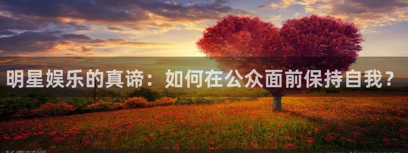 泰达娱乐2注册：明星娱乐的真谛：如何在公众面前保持自我？