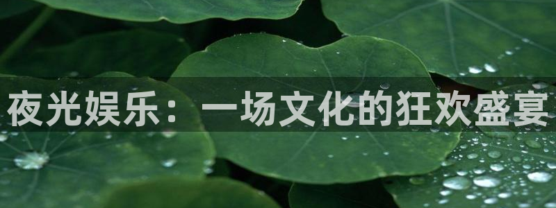 泰达娱乐下载链接：夜光娱乐：一场文化的狂欢盛宴