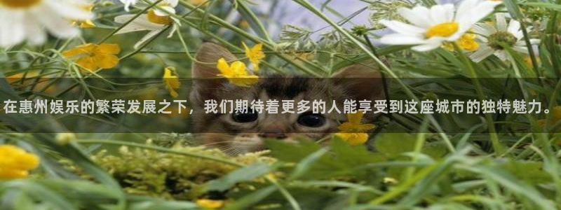 泰达娱乐环保：在惠州娱乐的繁荣发展之下，我们期待着更多的人能享受到这座城市的独特魅力。