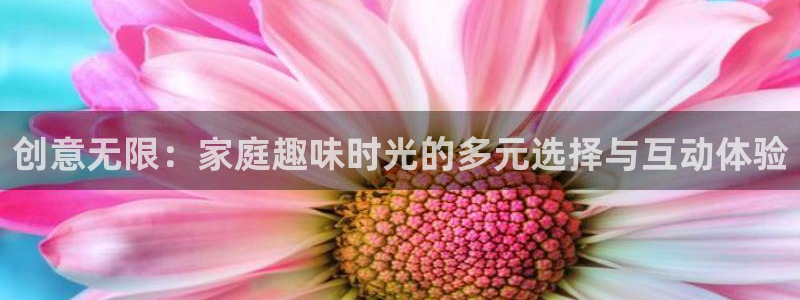 泰达娱乐vip麻将胡了：创意无限：家庭趣味时光的多元选择与互动体验