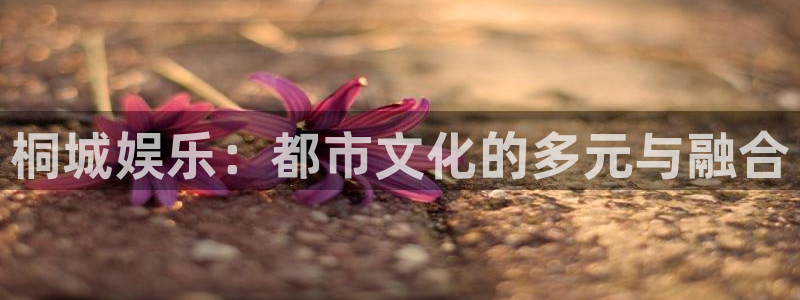 泰达娱乐下载并安装：桐城娱乐：都市文化的多元与融合