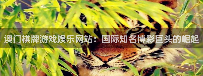 泰达娱乐游app：澳门棋牌游戏娱乐网站：国际知名博彩巨头的崛起