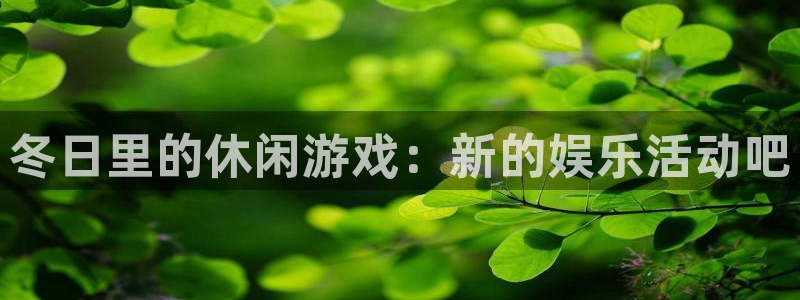泰达娱乐股份：冬日里的休闲游戏：新的娱乐活动吧