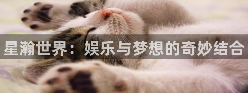 泰达娱乐电子娱乐官网下载：星瀚世界：娱乐与梦想的奇妙结合
