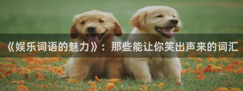 泰达娱乐凯捷注册：《娱乐词语的魅力》：那些能让你笑出声来的词汇