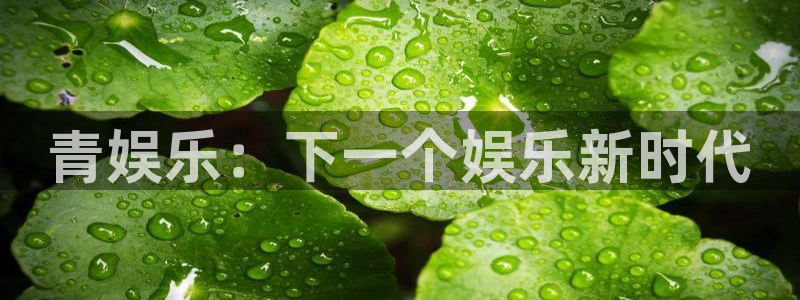 泰达娱乐vip麻将胡了：青娱乐：下一个娱乐新时代