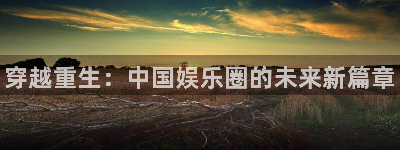 泰达娱乐游戏官网平台