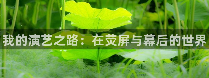泰达娱乐体育和杏耀是哪个公司的：我的演艺之路：在荧屏与幕后的世界