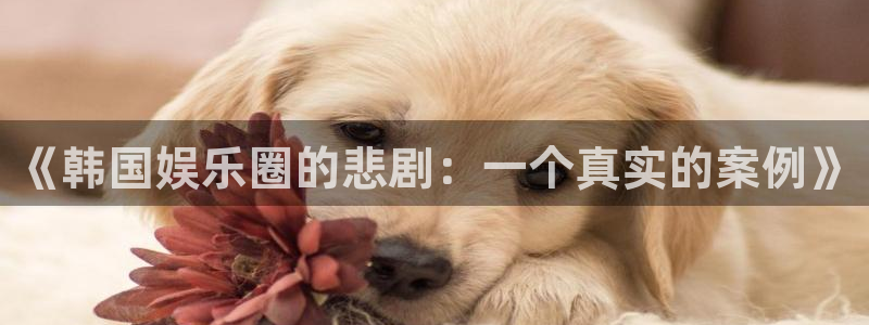 泰达娱乐登陆：《韩国娱乐圈的悲剧：一个真实的案例》