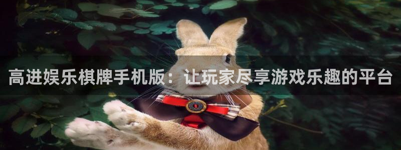 泰达娱乐是正规平台吗：高进娱乐棋牌手机版：让玩家尽享游戏乐趣的平台