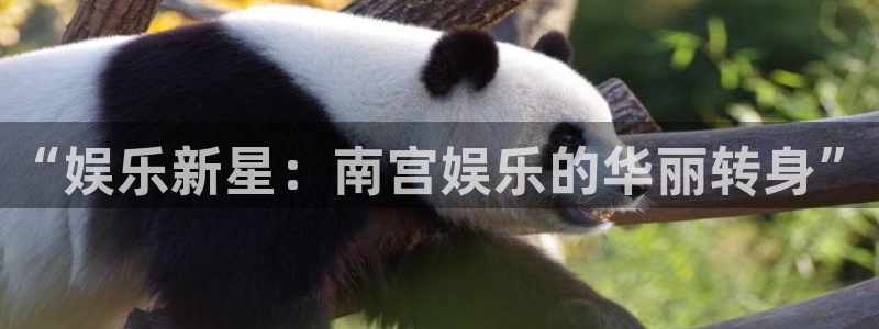泰达娱乐体育平台总代理：“娱乐新星：南宫娱乐的华丽转身”