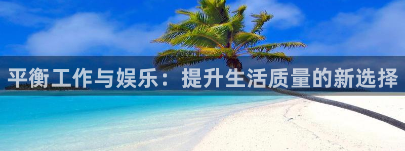泰达娱乐3：平衡工作与娱乐：提升生活质量的新选择