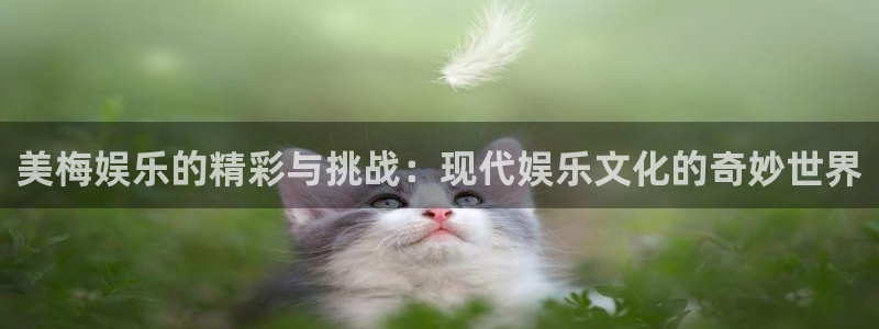 泰达娱乐体育代理申请流程：美梅娱乐的精彩与挑战：现代娱乐文化的奇妙世界