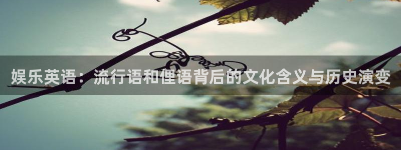 泰达娱乐体育eon：娱乐英语：流行语和俚语背后的文化含义与历史演变