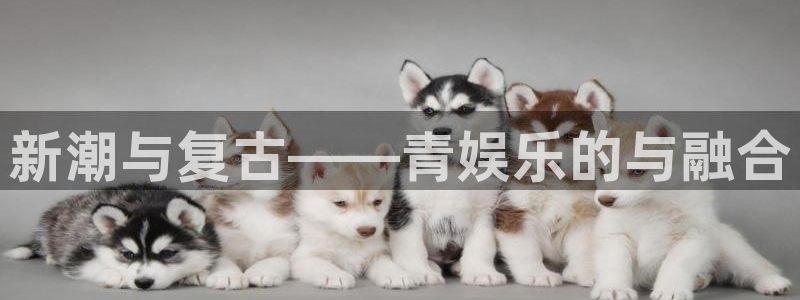 泰达娱乐4开户：新潮与复古——青娱乐的与融合