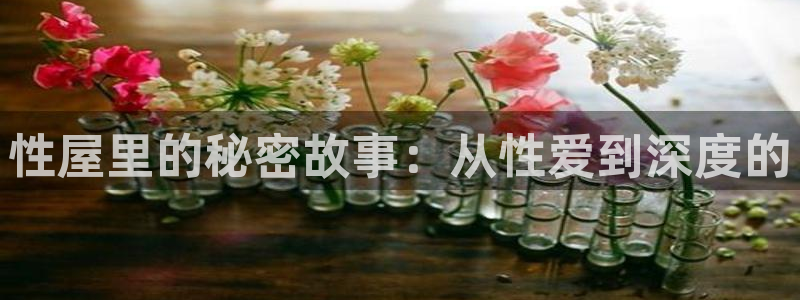 泰达娱乐体育游戏：性屋里的秘密故事：从性爱到深度的
