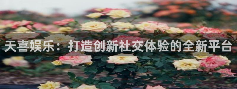 泰达娱乐游戏有哪些好玩的：天喜娱乐：打造创新社交体验的全新平台