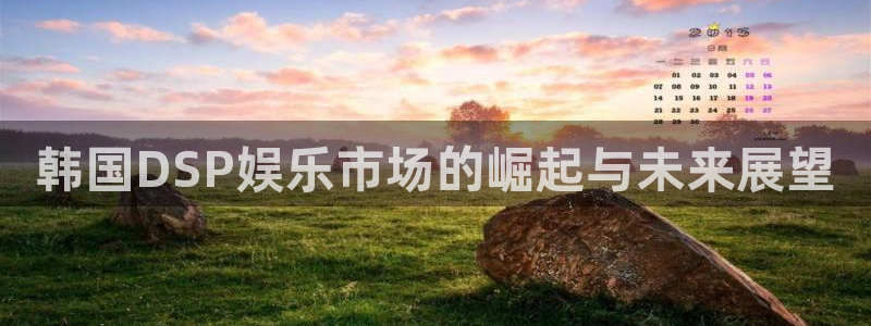 泰达娱乐.ccm苹果版：韩国DSP娱乐市场的崛起与未来展望
