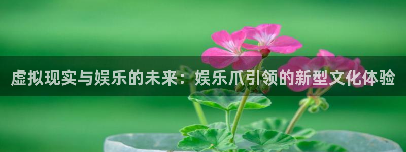 泰达娱乐app：虚拟现实与娱乐的未来：娱乐爪引领的新型文化体验